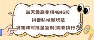 当天最高变现1k+，抖音私域新玩法，可矩阵可批量复制-聊项目