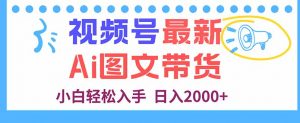 视频号最新AI图文带货，每天几分钟，小白轻松入手，日入2000+-聊项目