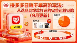 拼多多日销千单高阶玩法：从选品到爆款打造的完整运营链路(9月更新-聊项目