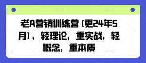 老A营销训练营(更25年10月)，轻理论，重实战，轻概念，重本质-聊项目