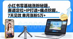 小红书零基础涨粉秘籍，赛道定位+IP打造+痛点挖掘，7天见效 单月涨粉5万+-聊项目
