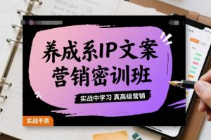 养成系IP文案营销密训班，实战中学习真高级营销-聊项目