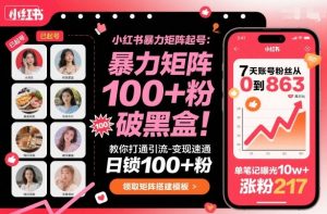 小红书暴力矩阵起号，教你打通引流-变现速通，日锁100+粉，破流量黑盒-聊项目