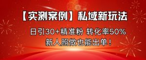 【实测案例】私域新玩法，日引30+精准粉，转化率50%，新人照做也能出单！-聊项目
