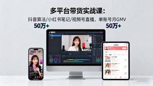 多平台带货实战课18.0：抖音算法/小红书笔记/视频号直播，单账号月GMV50w+-聊项目
