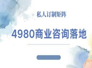 4980商业咨询师落地课程-ip运营高客单教程-聊项目