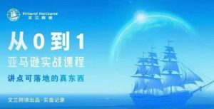 从0-1亚马逊实战课程，亚马逊从0-1，从1-10实操变现-聊项目