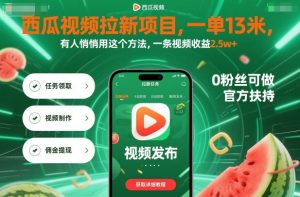 西瓜视频拉新项目,一单13米,有人悄悄用这个方法,一条视频收益2.5w+(附详细教程)-聊项目