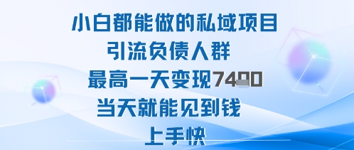 2025年小白都能做的私域项目引流负债人群最高一天变现1k+高变现难度低当天就能见到钱上手快-聊项目