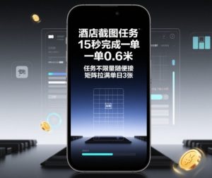 酒店截图任务，15秒完成一单，一单0.6米，任务不限量随便接，矩阵拉满单日3张【揭秘】-聊项目