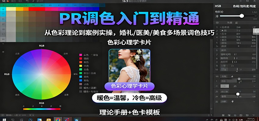 PR调色入门到精通：从色彩理论到案例实操，婚礼/医美/美食多场景调色技巧-聊项目