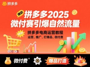 拼多多2025微付费引爆自然流量，拼多多电商运营教程，运营、推广、打爆品、微付费(更新)-聊项目