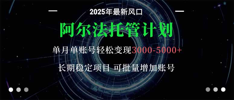 阿尔法托管计划 单账号月入3000-5000，长期稳定项目，新手小白轻松上手。-聊项目