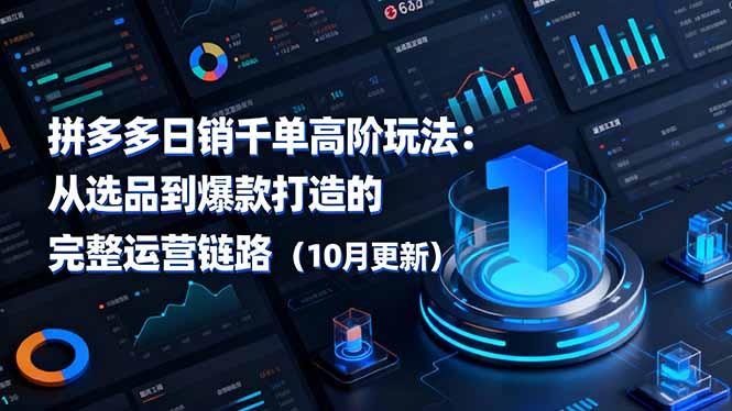 拼多多日销千单高阶玩法：从选品到爆款打造的完整运营链路(10月更新-聊项目