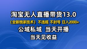 淘宝无人直播13.0，公域私域技术，不封号，不违规 布局下半年旺季赛道，日入2000+-聊项目