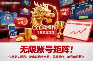 无限账号矩阵！今年龙头项目，游戏试玩全自动，简单操作，单号单日5张【揭秘】-聊项目