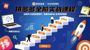 拼多多全阶实战课程，从新手小白到运营高手，海量实战玩法+全年实时更新【2025年10月更新】-聊项目