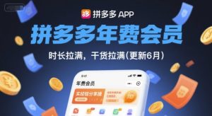 拼多多年费会员，实经验分享操，时长拉满，干货拉满(更新11月)-聊项目