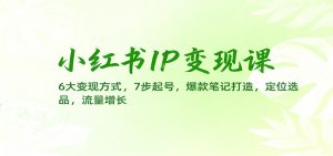 小红书IP变现课：6大变现方式，7步起号，爆款笔记打造，定位选品，流量增长-聊项目