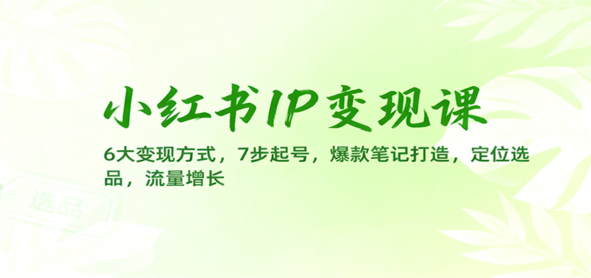 小红书IP变现课：6大变现方式，7步起号，爆款笔记打造，定位选品，流量增长-聊项目