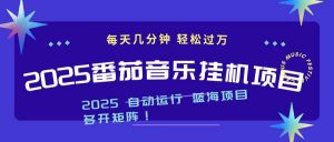 2025最新挂机番茄音乐项目，每天几分钟，日入1000＋-聊项目