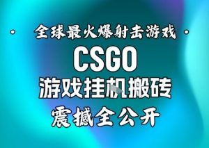 【年底大揭秘】基于全球最火爆的射击CSGO游戏挂G搬砖，日入5张+，震撼公开-聊项目
