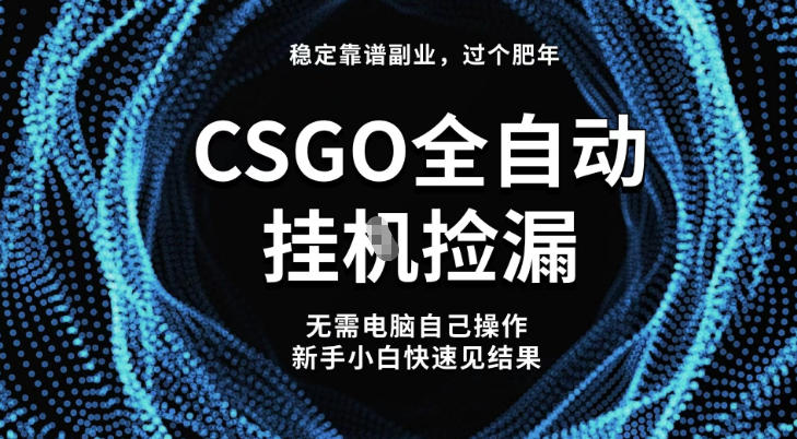 【稳定副业】全球最热门游戏CSGO全自动捡漏，最新玩法，新手小白日入5张+【揭秘】-聊项目