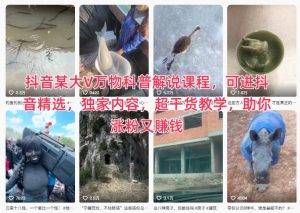 抖音某大V万物科普解说课程，可进抖音精选，独家内容，超干货教学，助你涨粉又賺钱-聊项目