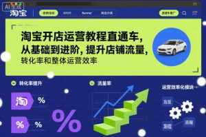 淘宝开店运营教程直通车，从基础到进阶，提升店铺流量，转化率和整体运营效率(更新11月)-聊项目