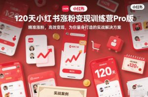 120天小红书涨粉变现训练营Pro版，精准涨粉，高效变现，为你量身打造的实战解决方案-聊项目