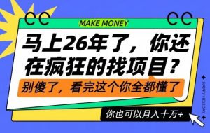 26年了,不要再疯狂的找项目了,看完这个你也可以月入十个W【揭秘】-聊项目