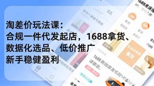 淘差价玩法课：合规一件代发起店，1688拿货、数据化选品、低价推广，新手稳健盈利(更新12月-聊项目