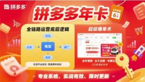 拼多多年卡，拼多多全链路运营底层逻辑，超级爆单术【更新12月】-聊项目