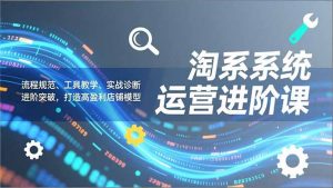 淘系系统运营进阶课2.0，流程规范、工具教学、实战诊断，进阶突破，打造高盈利店铺模型-聊项目