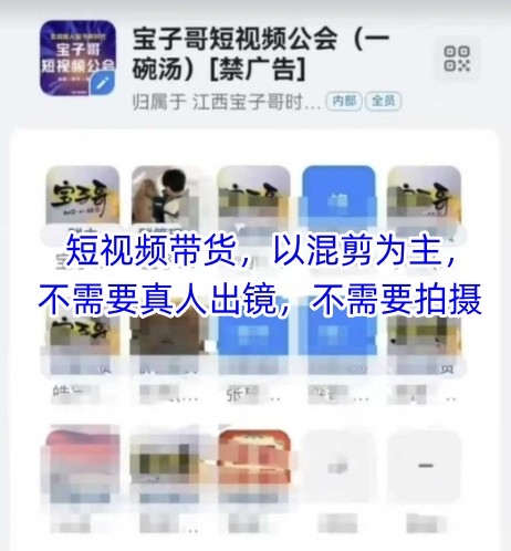 宝子哥头部团队短视频带货，以混剪为主，不需要真人出镜，不需要拍摄【更新12月】-聊项目