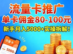 流量卡推广，单卡佣金80-100，新手月入5k+实操拆解！-聊项目