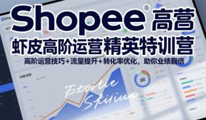 Shopee虾皮高阶运营精英特训营,高阶运营技巧+流量提升+转化率优化,助你业绩翻倍-聊项目