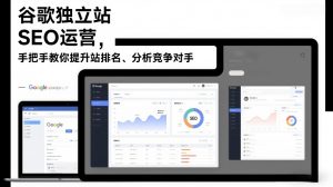 谷歌独立站SEO运营，手把手教你提升网站排名、分析竞争对手(更新2026)-聊项目
