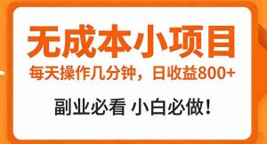 无成本小项目 每天操作几分钟，真实日收益800+ 副业必看 小白必做！-聊项目