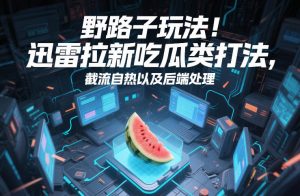 野路子玩法！迅雷拉新吃瓜类打法，截流自热以及后端处理-聊项目