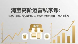 淘宝高阶运营私家课：选品、爆款、全店动销，三模块构建盈利闭环，月入破5万(更新26年2月-聊项目
