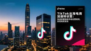 TikTok出海电商加速特训营-更新：快速掌握海外市场运营规则，实现高效变现-聊项目