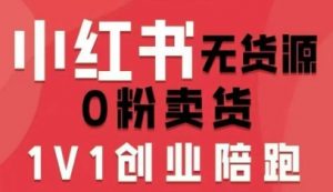 小红书无货源0粉电商课，开店准备、选品策略、笔记撰写、视频剪辑、数据分析、账号打造、资料文档(更新26年2月)-聊项目