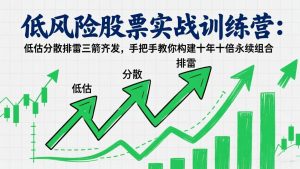 低风险股票实战训练营：低估分散排雷三箭齐发，手把手教你构建十年十倍永续组合-聊项目