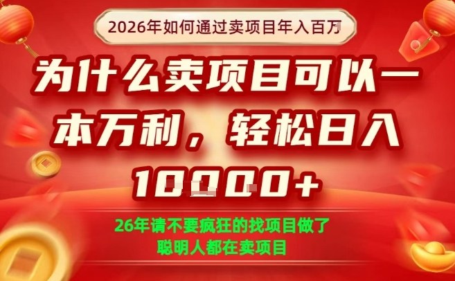 一单净利润1K+，26年想年入100个W，死磕卖项目就够了【揭秘】-聊项目