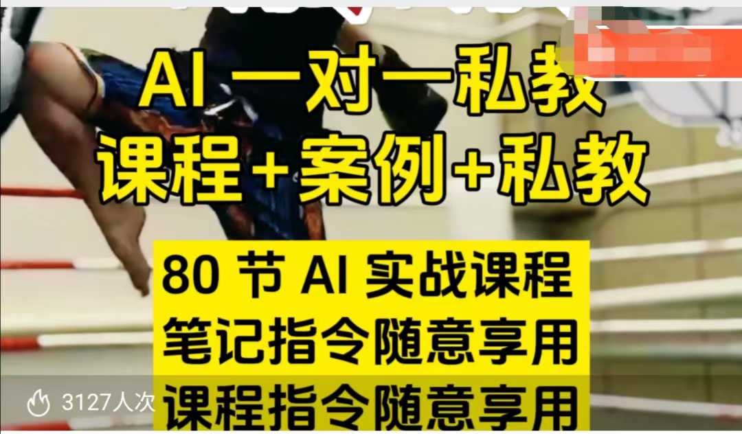 AI指令实战课，课程+案例，80节AI实战课程，笔记指令随意享用，课程指令随意享用(更新26年3月)-聊项目