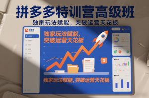 拼多多特训营高阶班，独家玩法赋能，突破运营天花板(更新26年3月13日)-聊项目