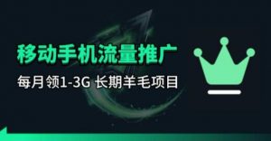 手机流量领取推广_每月一轮，刚需类的长期项目-聊项目