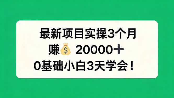 最新项目实操3个月，赚钱20000+，0基础小白3天学会！-聊项目