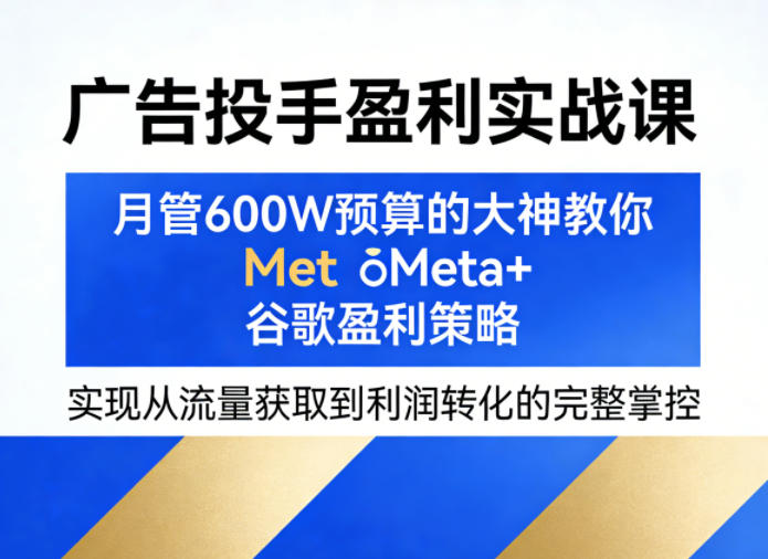 广告投手盈利实战课，月管600W预算的大神教你Meta+谷歌盈利策略，实现从流量获取到利润转化的完整掌控-聊项目